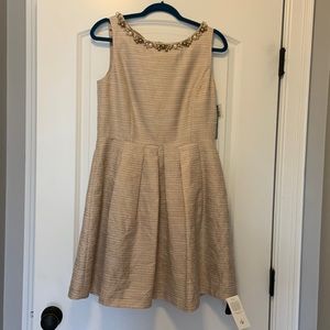 Tahari size 10 petite dress NWT never worn